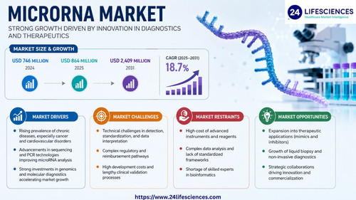 httpswww.24lifesciences.com 2026 06 01T132910.309.jpg