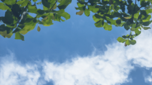 ttxey bg.png