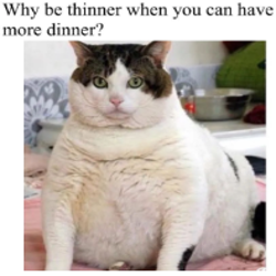 CFeT8Rj.png