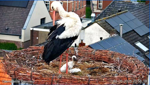 MWSnap453.jpg