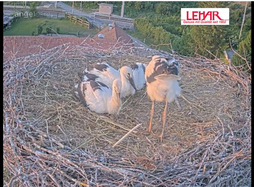 MWSnap396.jpg