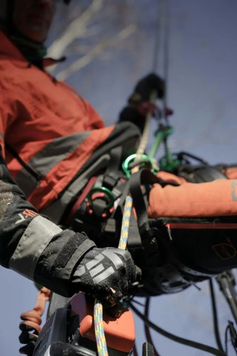 Arborist Kapiti Coast | Tree Removal Horowhenua | Tree Services Manawatu.jpg