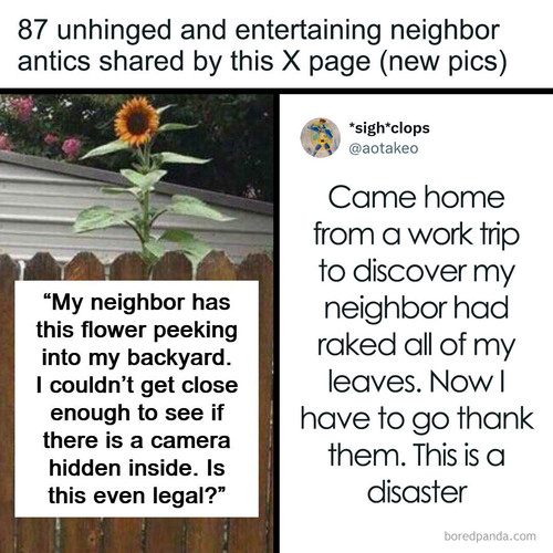 neighborhood drama posts best of nextdoor.jpg