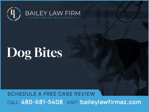 Dog Bite Attorneys.jpg