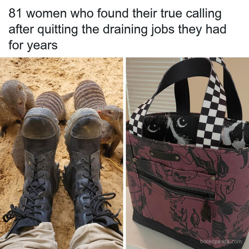 women changed jobs.jpg