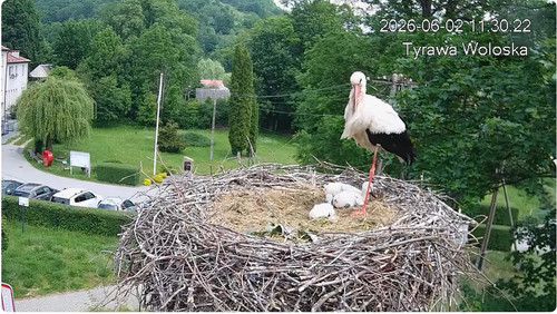 MWSnap206.jpg