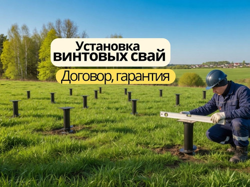 293.jpg