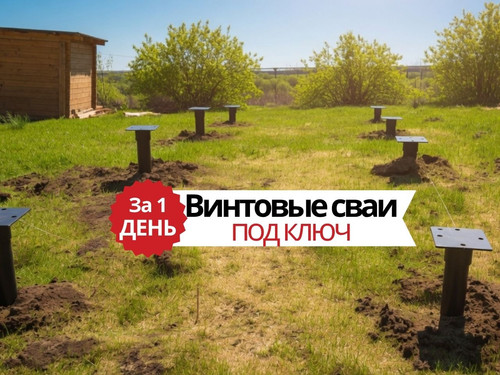 306.jpg