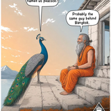 peacock.png