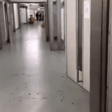 1NlKJK9.gif