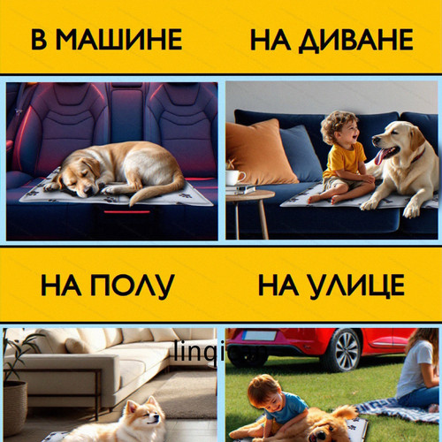 1780446576447.jpg