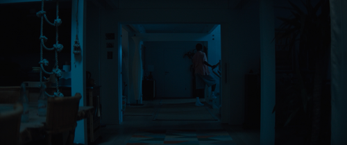 Primate.2025.Bluray.1080p.TrueHD7.1.x265.10bit CHD.mkv snapshot 01.01.15 [2026 06 02 19.39.12].png