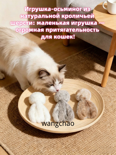 1780465133052.jpg