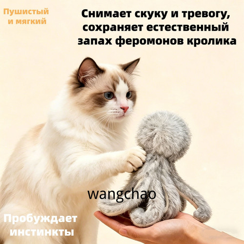 1780465133055.jpg