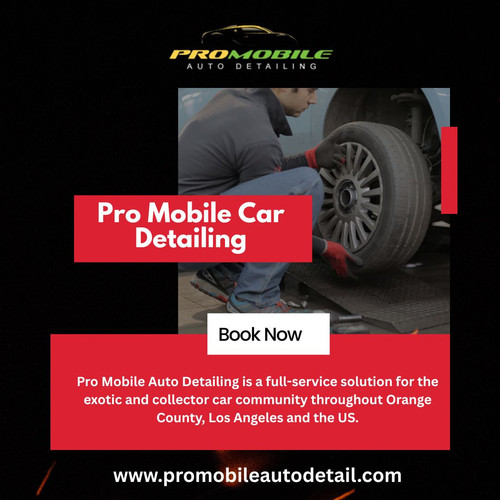 Pro Mobile Car Detailing.jpg