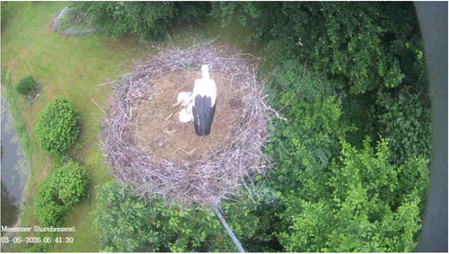 MWSnap530.jpg