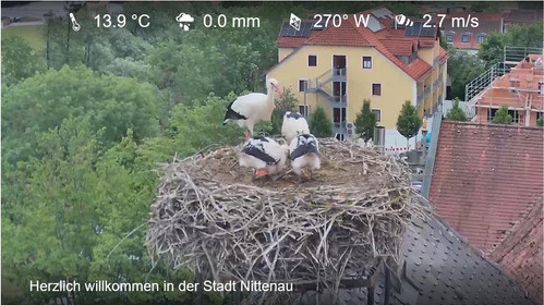 MWSnap545.jpg