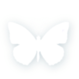 无标题36 20260603134733.png