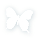 无标题37 20260603134834.png