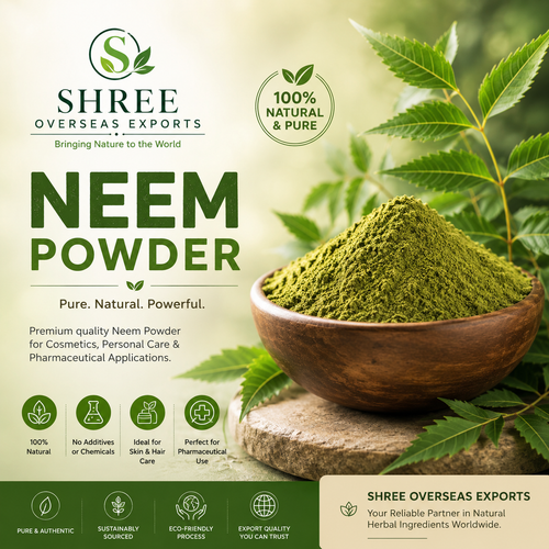 Neem Powder for Cosmetics Manufacturers A Complete Guide to Quality, Applications, and Bulk Sourcing.png