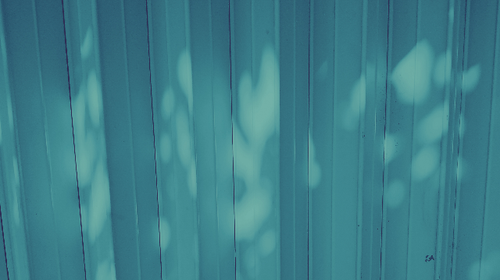 temp.png