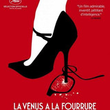 20 la venus a la fourrure