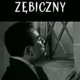 32 usmiech zebiczny
