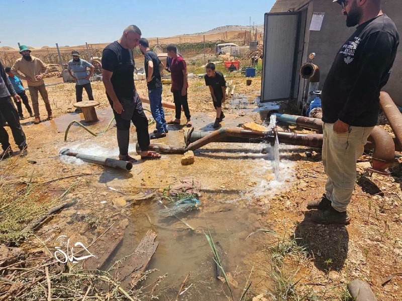صورة الخبر