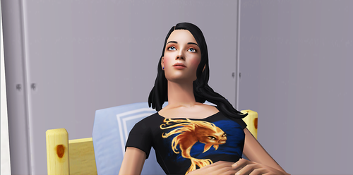 2026 07 14 14 14 11 The Sims™ 2 Mansion and Garden Stuff.png