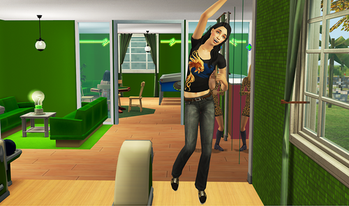 2026 07 14 14 29 48 The Sims™ 2 Mansion and Garden Stuff.png