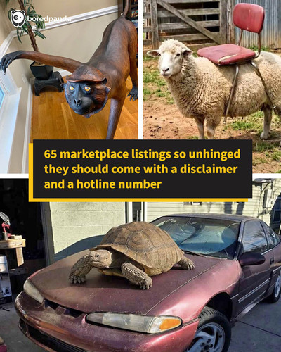 hilarious cringe marketplace listings sharing.jpg