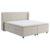 bd06012q 2