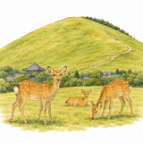 48. 若草山（わかくさやま）— Gunung Wakakusa di Nara