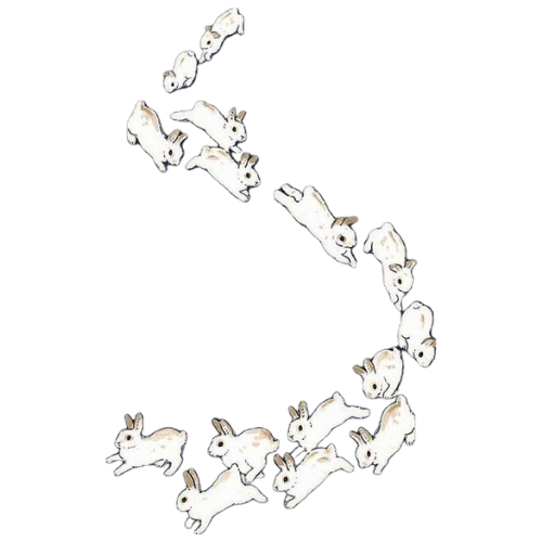 bunny.png