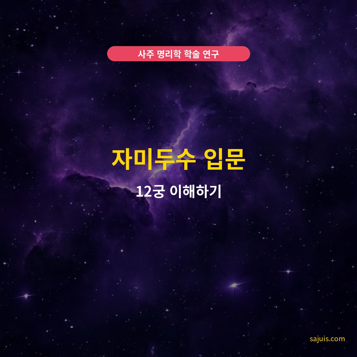 자미두수 입문 — 12궁 이해하기