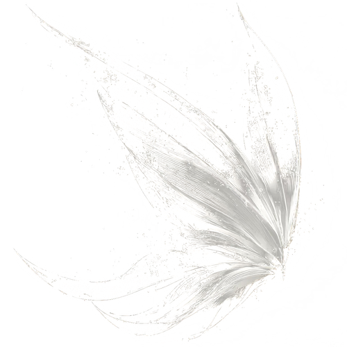 1000045302.png