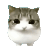 1784085468096.gif