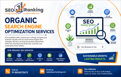 organic search engine optimization services.png
