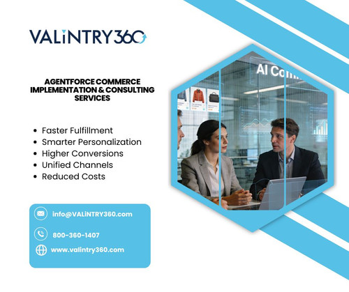 Agentforce Commerce Implementation & Consulting Services.jpg