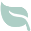 树叶4.png