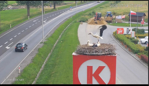 MWSnap772.jpg