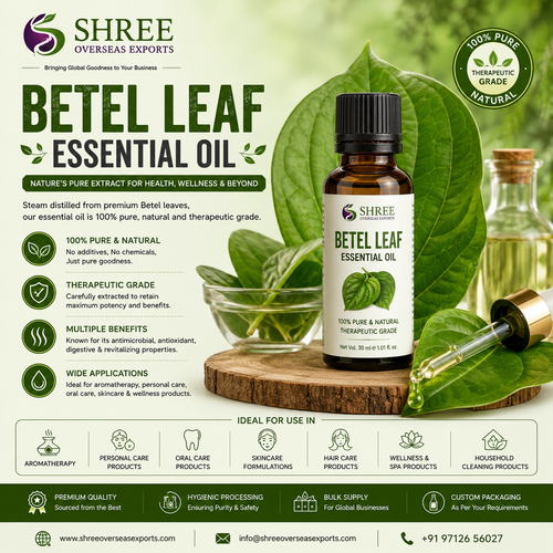 Betel Leaf Essential Oil Exporter Your Trusted Partner for Premium Quality and Global Bulk Supply.png
