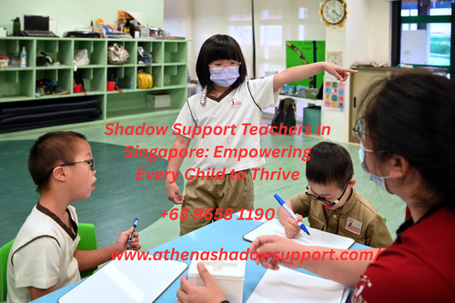 Shadow Support Teachers in Singapore Empowering Every Child to Thrive.png