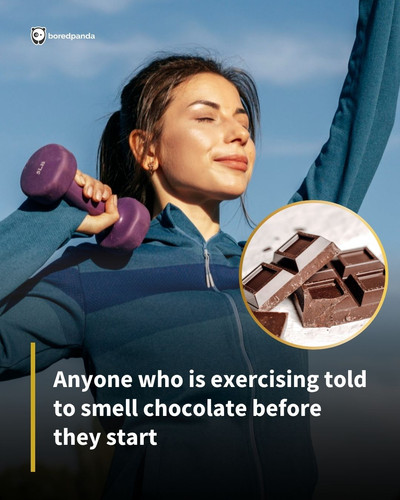 SM Articles.jpg