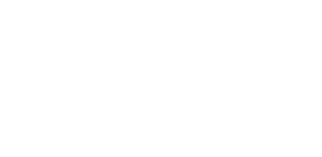 r+v logo weiss 2020.png