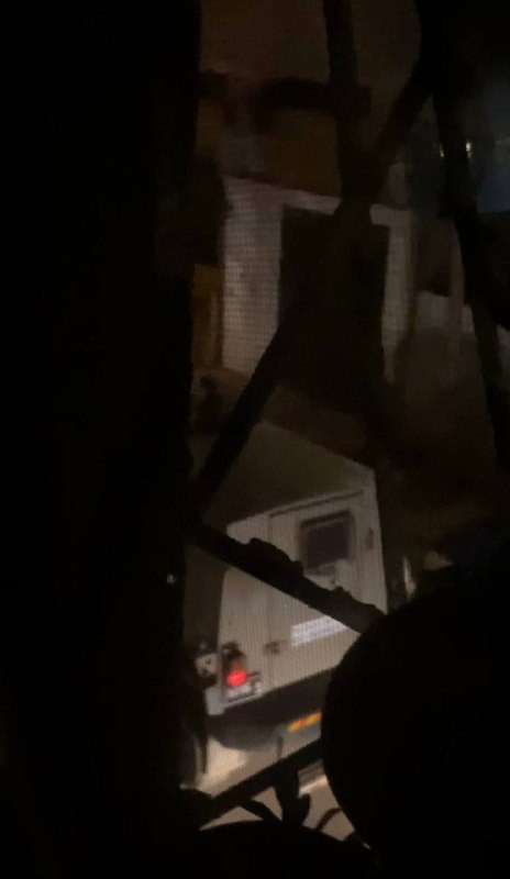 صورة الخبر