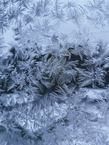 pexels danila popov 85164195 14731530.jpg