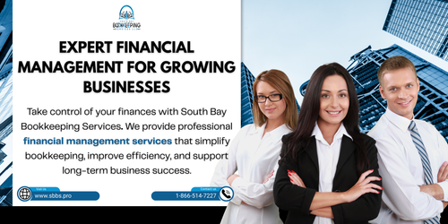 Expert Financial Management for Growing Businesses.png