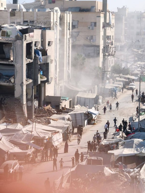 صورة الخبر