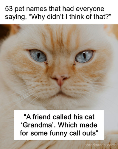 best pet name ever heard.jpg